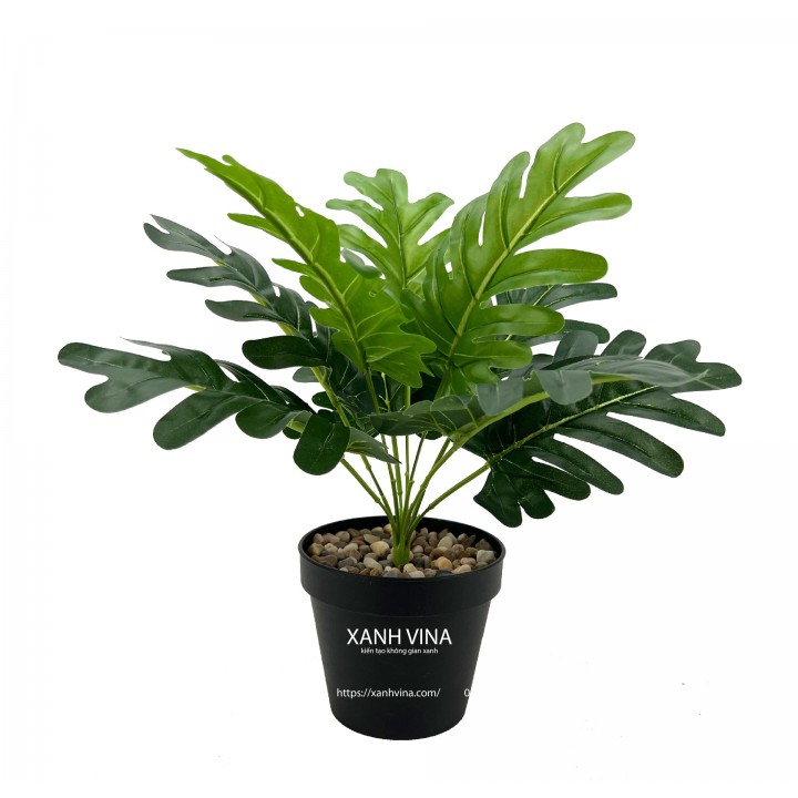 Cây giả để bàn cao 35cm - lá-mon